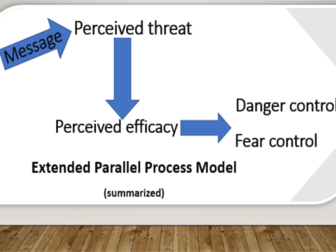 Extended Parallel Process Model